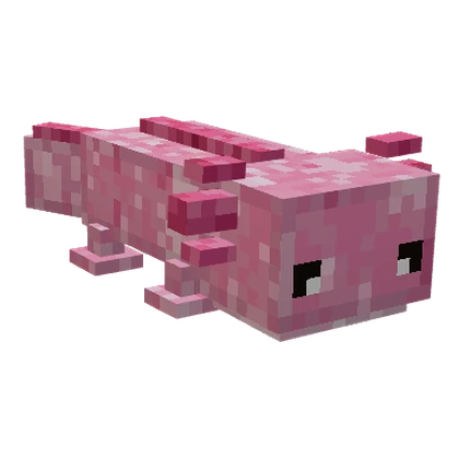 Ajolote